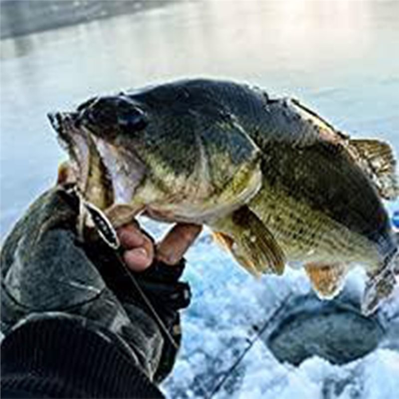 ABUE-Kayak Przenośny Echosonda – Fishing Boat Depth Finder recenzja i cena
